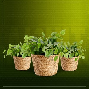 Planter basket