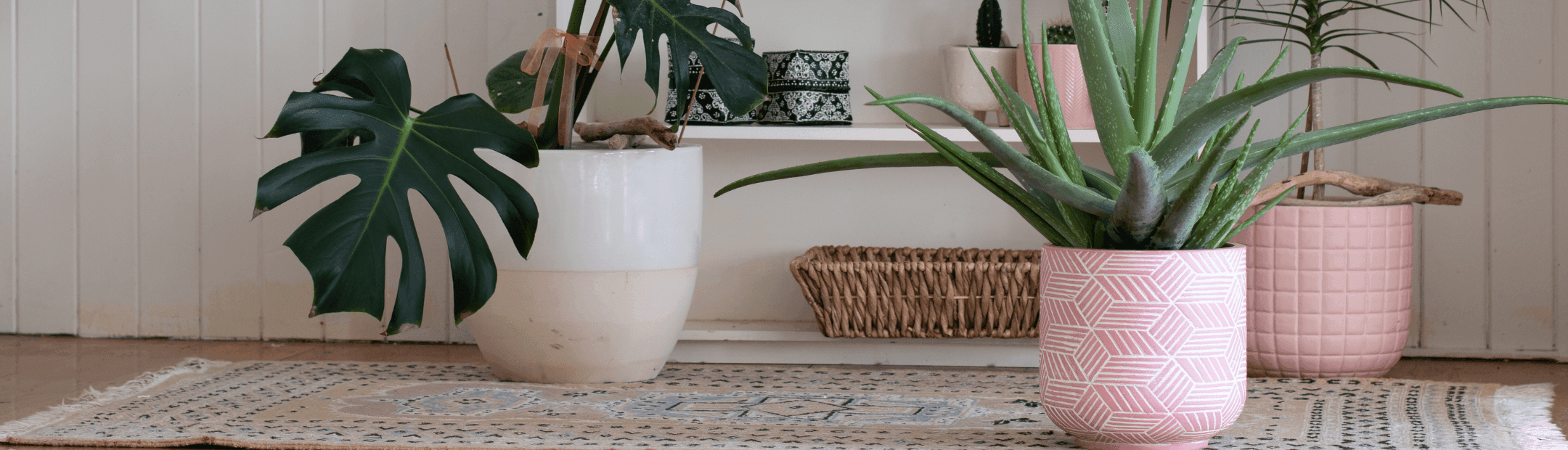 Untitled (2160 x 620 px)